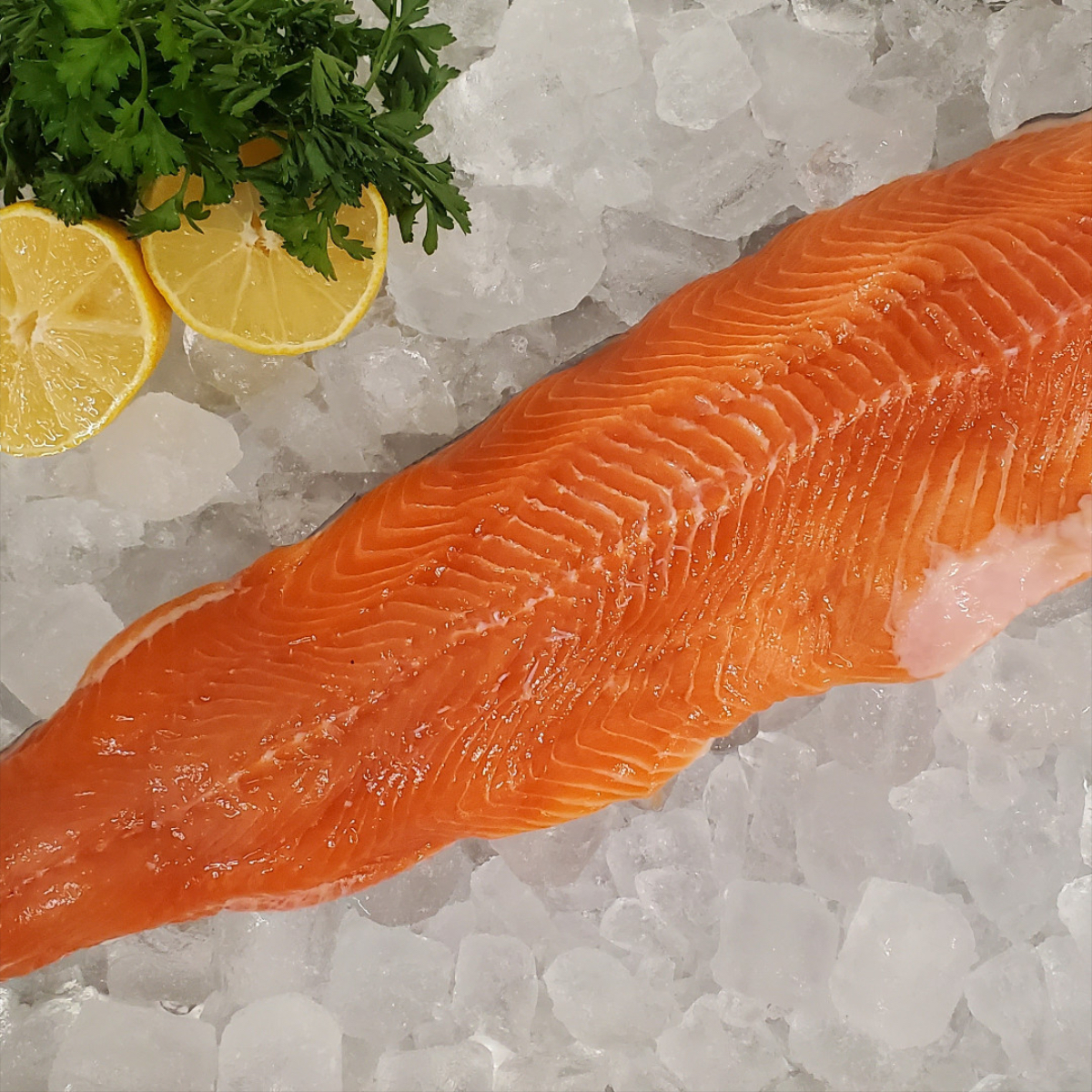 Out of the Blue // Seafood Market // Bayfield, Ontario // Fresh Arctic Char