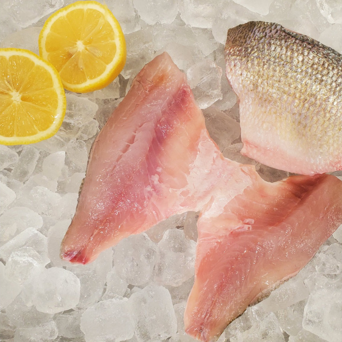 Out of the Blue // Seafood Market // Bayfield, Ontario // Fresh White Perch