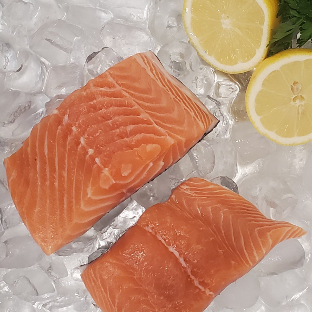 Out of the Blue // Seafood Market // Bayfield, Ontario // Fresh Atlantic Salmon