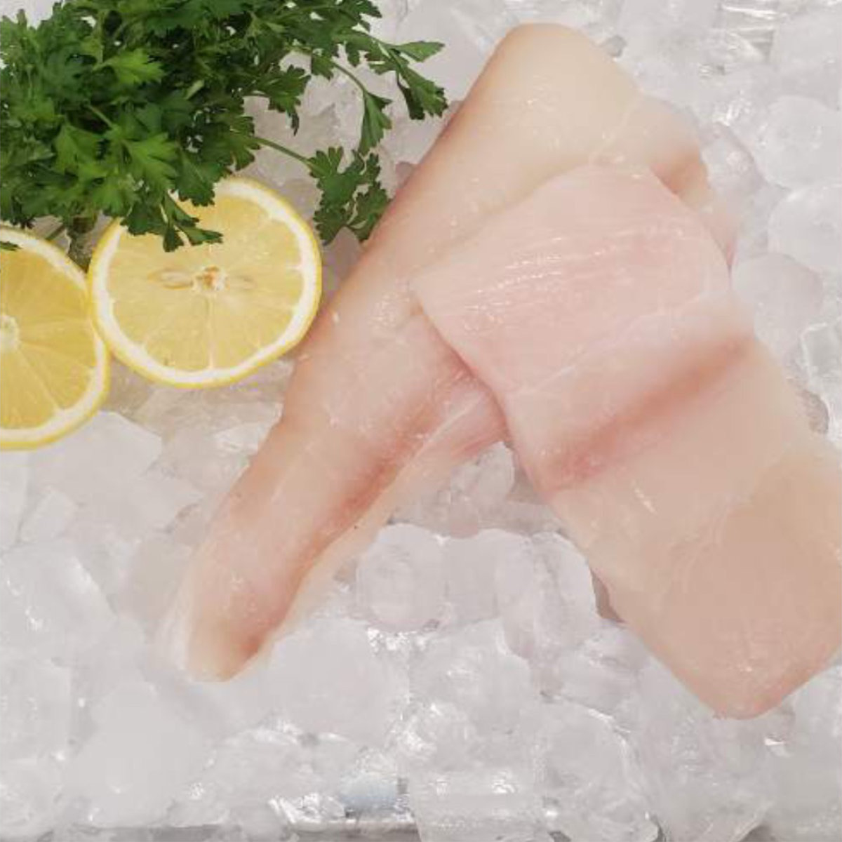 Out of the Blue // Seafood Market // Bayfield, Ontario // Fresh Halibut
