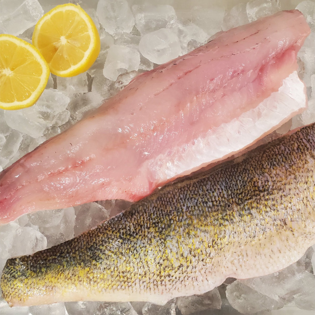 Out of the Blue // Seafood Market // Bayfield, Ontario // Fresh Pickerel