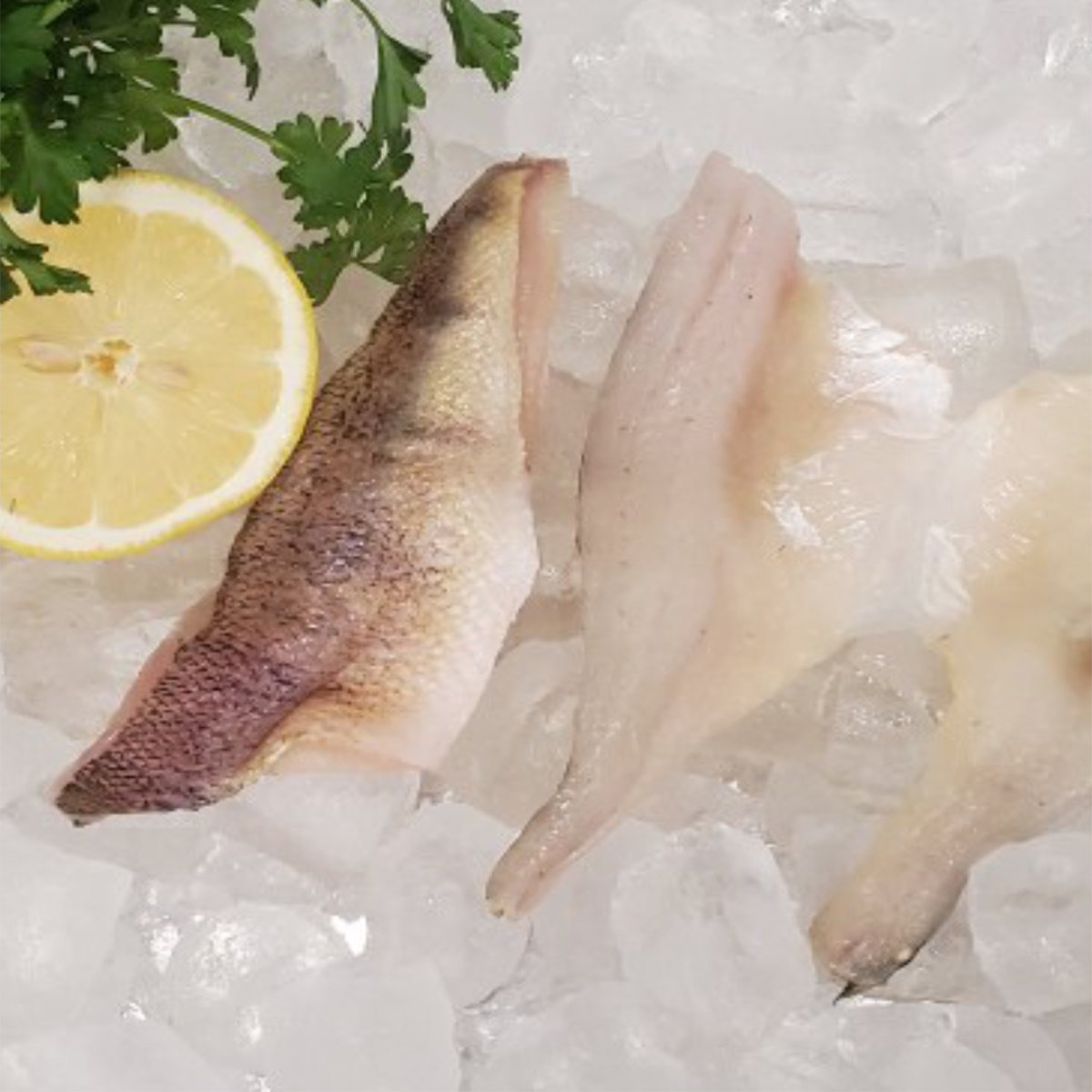 Out of the Blue // Seafood Market // Bayfield, Ontario // Fresh Yellow Perch
