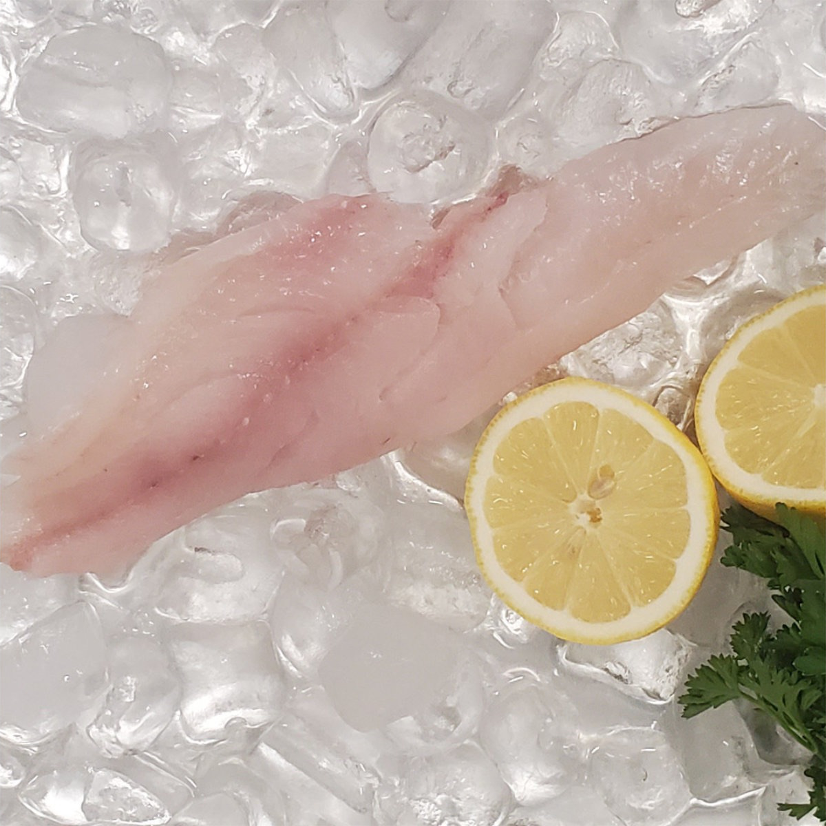 Out of the Blue // Seafood Market // Bayfield, Ontario // Fresh Haddock