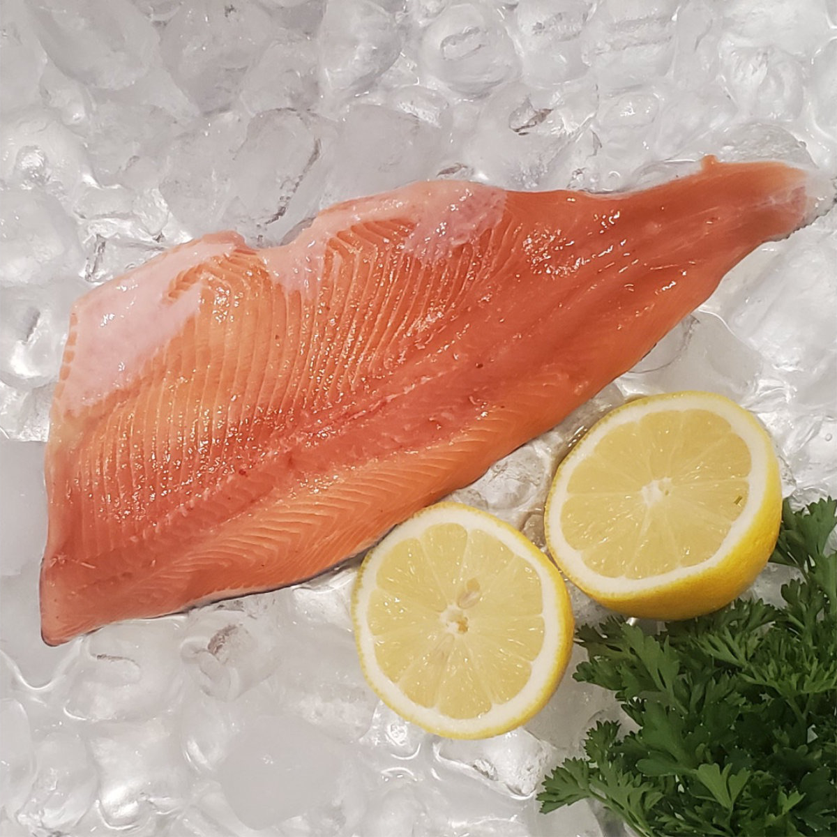 Out of the Blue // Seafood Market // Bayfield, Ontario // Fresh Rainbow Trout