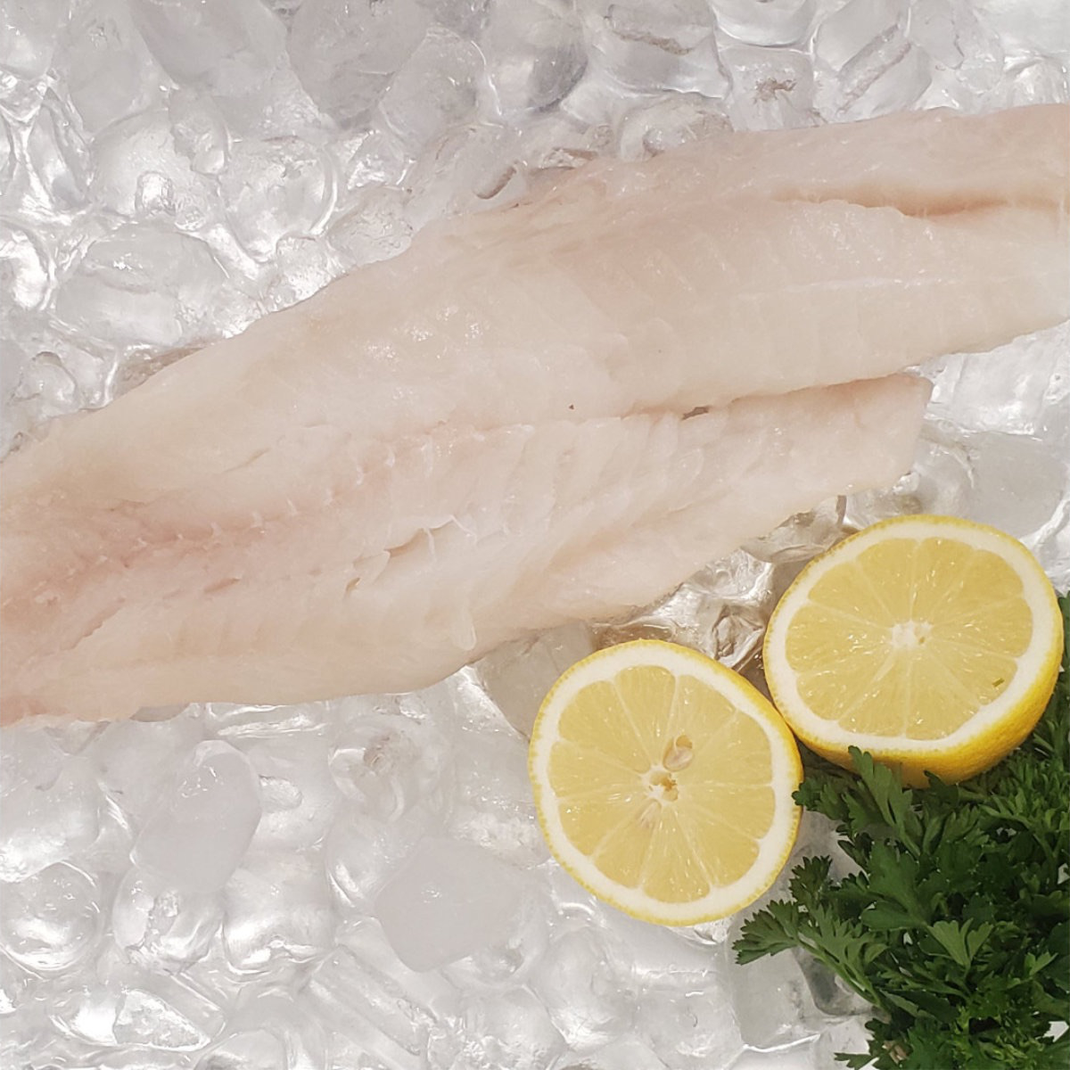 Out of the Blue // Seafood Market // Bayfield, Ontario // Fresh Cod