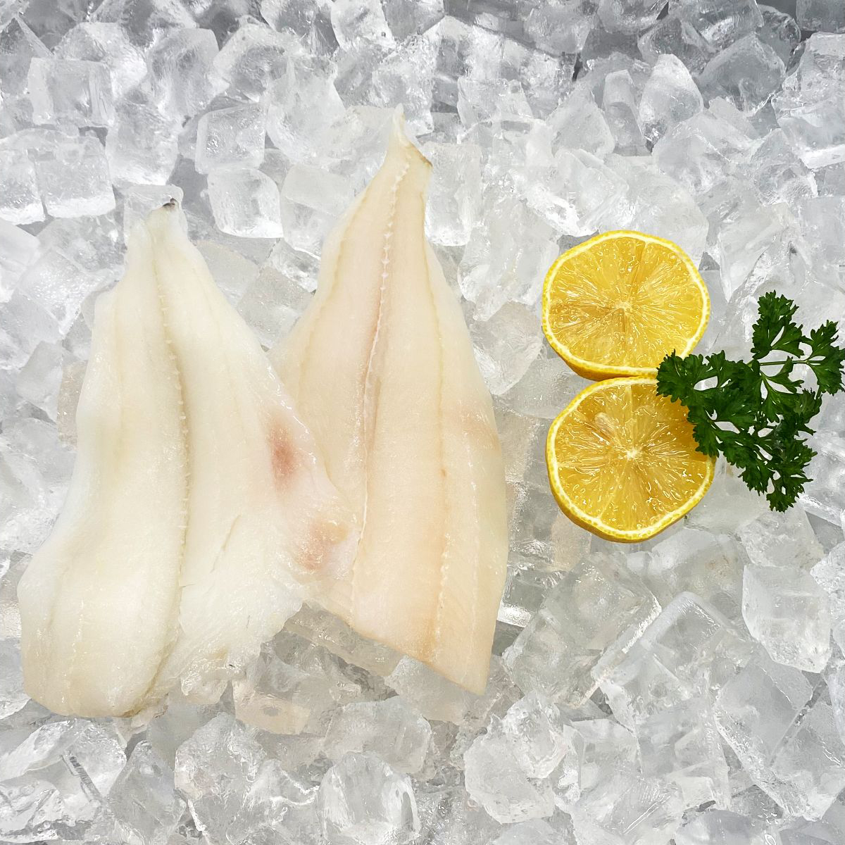 Out of the Blue // Seafood Market // Bayfield, Ontario // Fresh Atlantic Sole