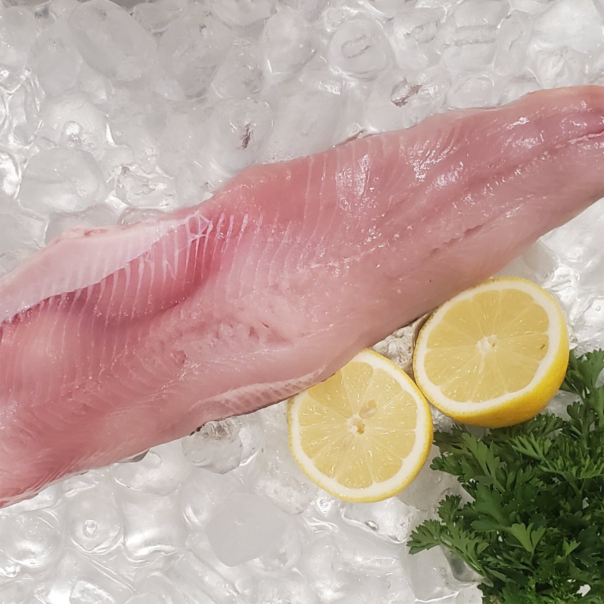 Out of the Blue // Seafood Market // Bayfield, Ontario // Fresh Whitefish